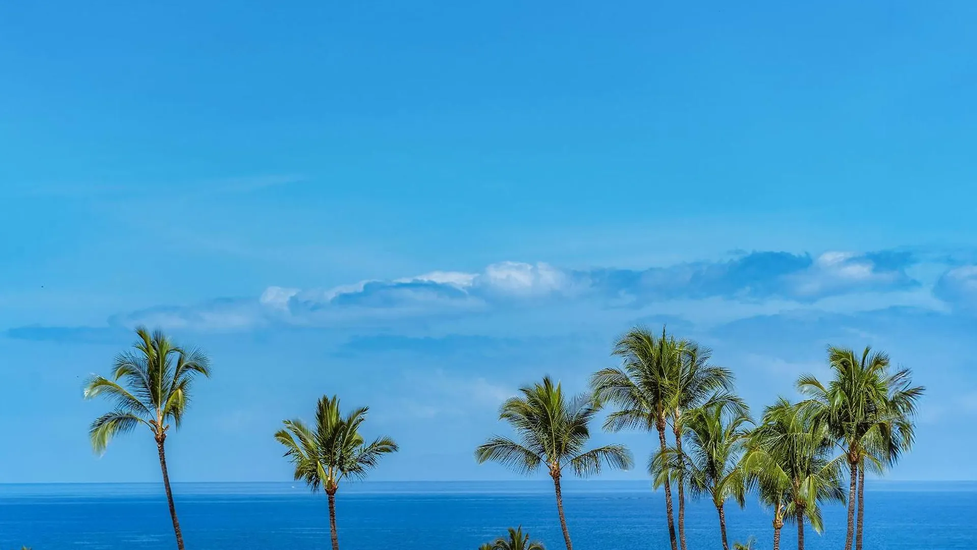 Feriehus Wailea Ekahi 39E Villa